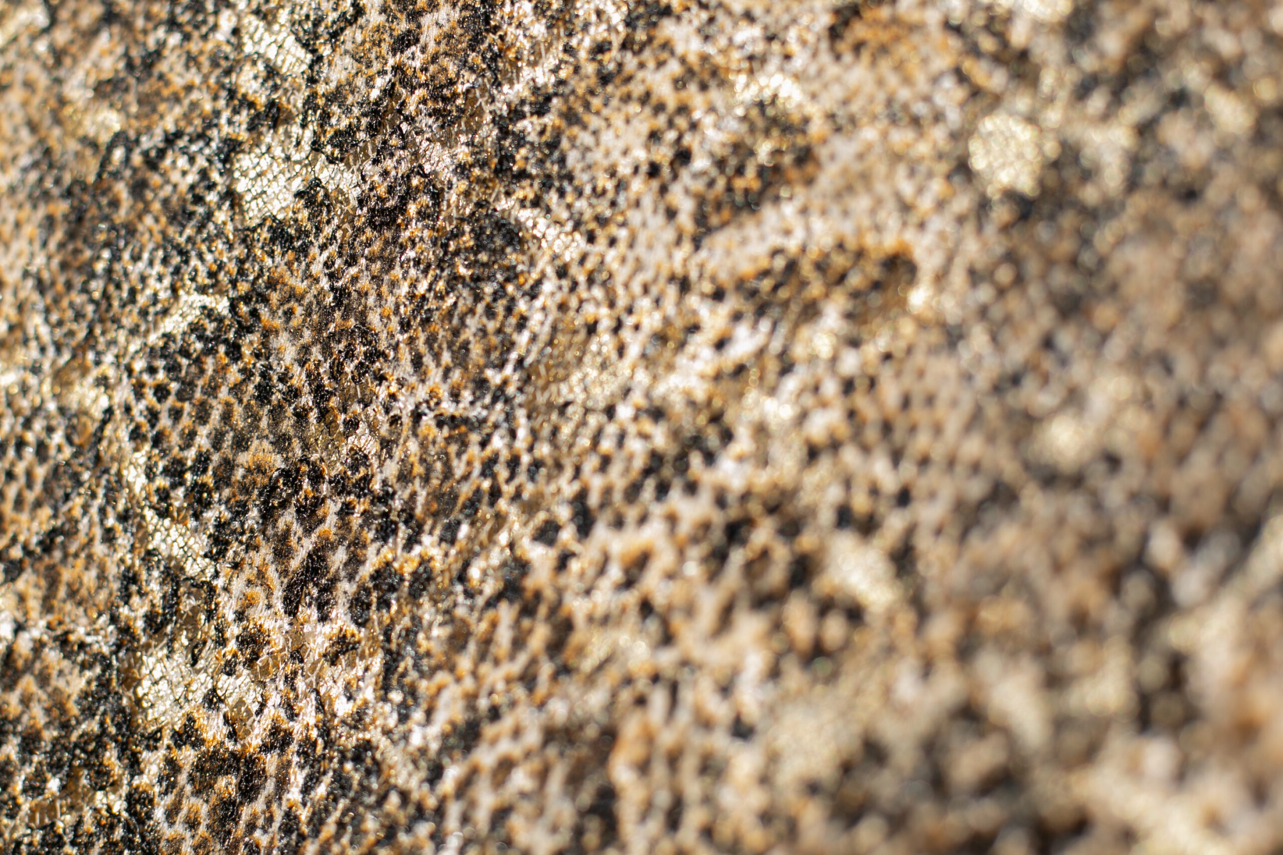 Pits-võrksallid - Image 9