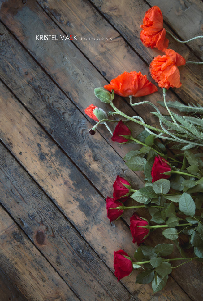 0085_aeda-Edit-Edit-700×1034